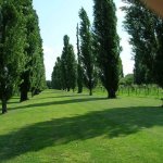 28-villamocenigovialecipressino17