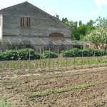 40-villamocenigoorto28